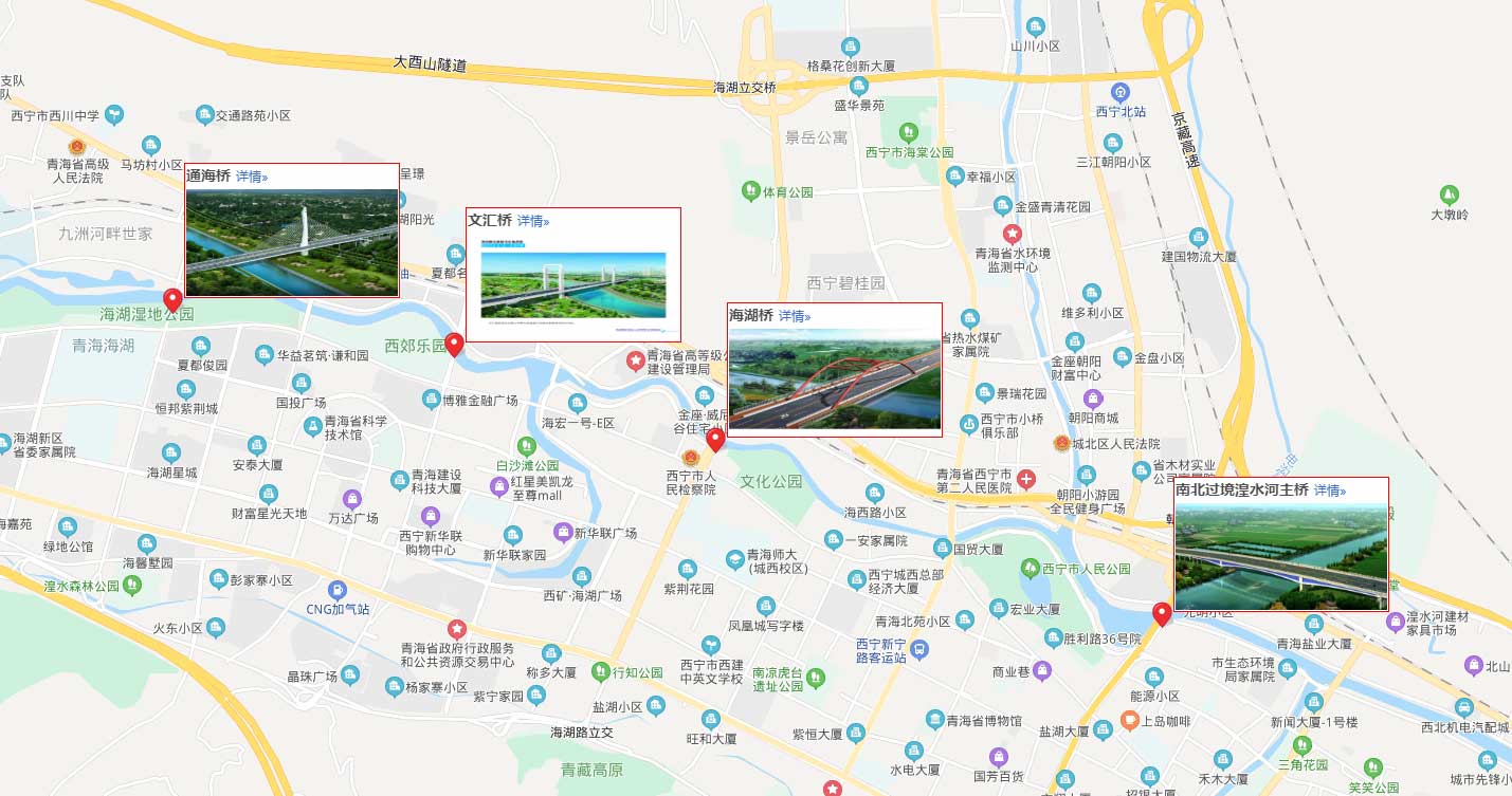 西寧橋梁群安全運營監測